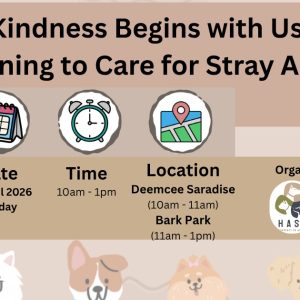 Learning to Care for Stray Animals