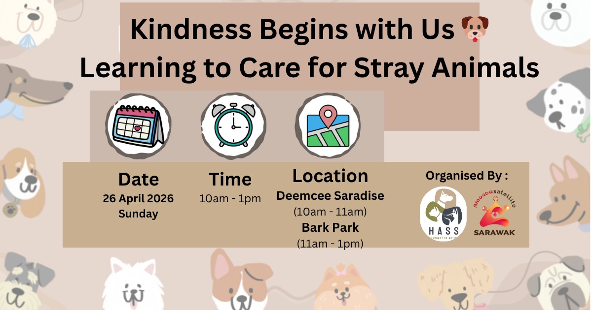 Learning to Care for Stray Animals event poster