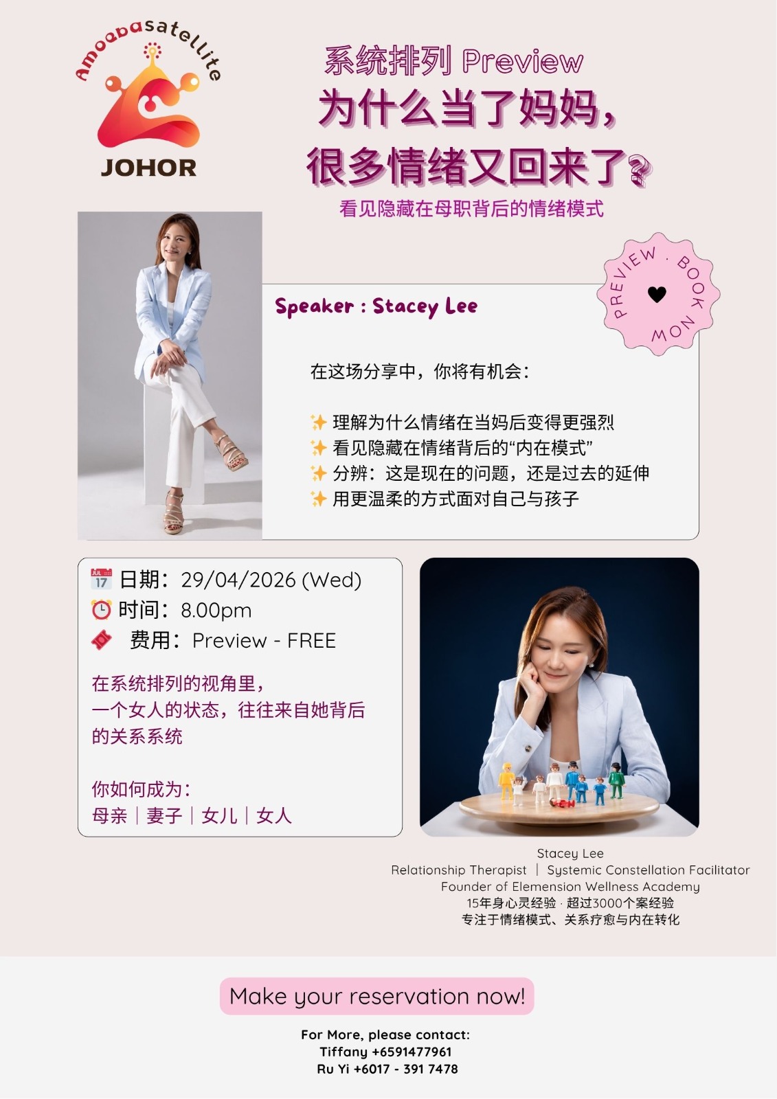 Systemic Constellation Preview event poster