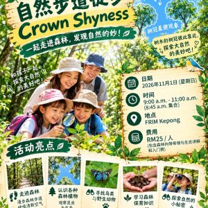 FRIM 自然步道徒步 | Nature Trail Hike - Crown Shyness